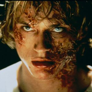 Foto Deep in the woods (En lo profundo del Bosque)