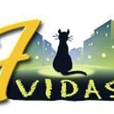 Foto 7 Vidas