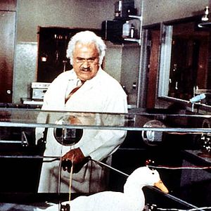 Foto Millonarios por una pata