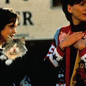 Foto Un gato del FBI