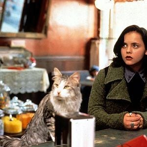 Foto Un gato del FBI