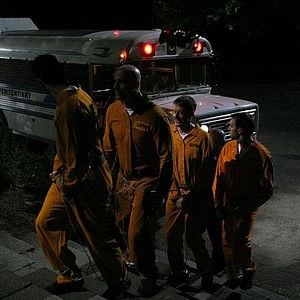 Foto Camino sangriento 3