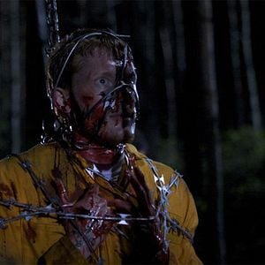 Foto Camino sangriento 3