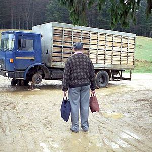 Foto Historias de la edad de oro