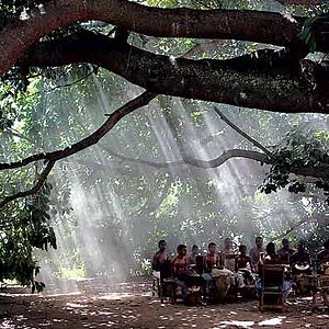 Foto Los viajes del viento