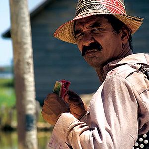 Foto Los viajes del viento