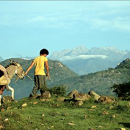 Foto Los viajes del viento