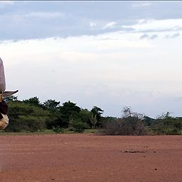 Foto Los viajes del viento
