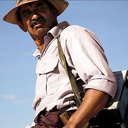 Foto Los viajes del viento