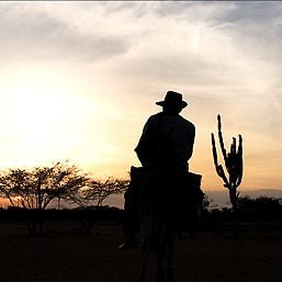 Foto Los viajes del viento
