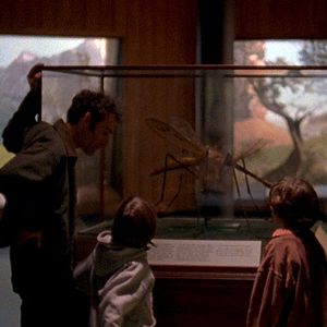 Foto Go Get Some Rosemary