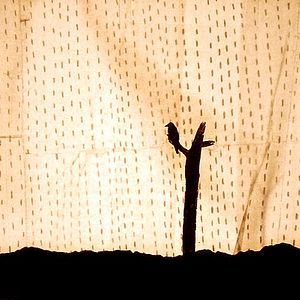 Foto Johannes Nyholm