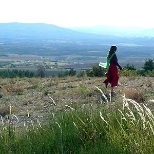 Foto La Terre de la folie