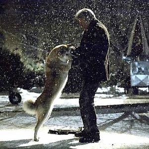 Foto Siempre a tu lado. Hachiko