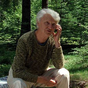 Foto L'épine dans le coeur (The Thorn in the Heart)