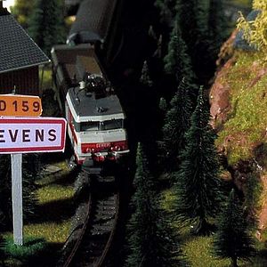 Foto L'épine dans le coeur (The Thorn in the Heart)