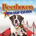 Foto Beethoven: La gran oportunidad
