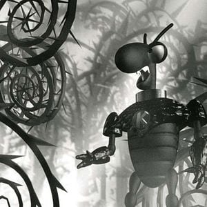 Foto Georges Lacroix