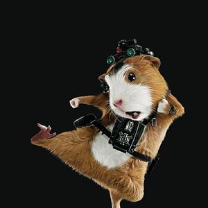 Foto G-Force: Licencia para espiar