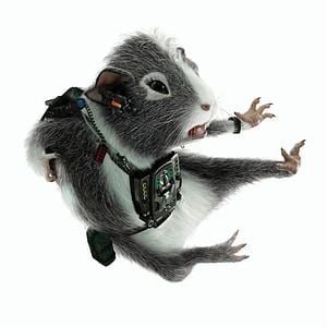 Foto G-Force: Licencia para espiar