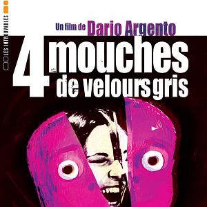 Foto Cuatro moscas sobre terciopelo gris