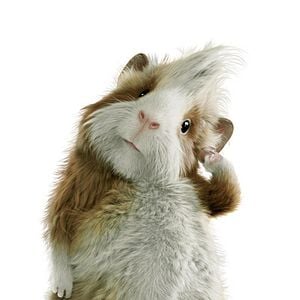 Foto G-Force: Licencia para espiar