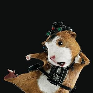 Foto G-Force: Licencia para espiar