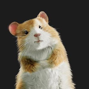 Foto G-Force: Licencia para espiar