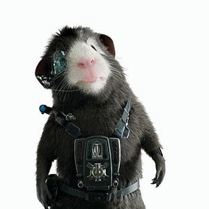 Foto G-Force: Licencia para espiar