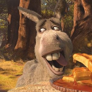 Foto Shrek. Felices para siempre