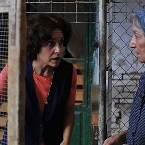 Foto Nacidas para sufrir