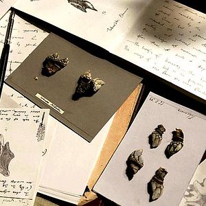 Foto La duda de Darwin