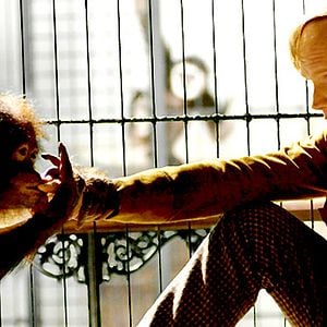 Foto La duda de Darwin