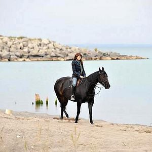 Foto George A. Romero