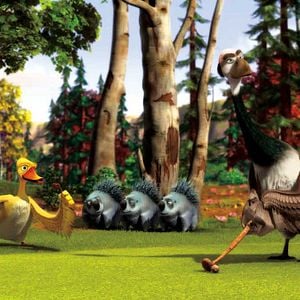 Foto Alpha and Omega