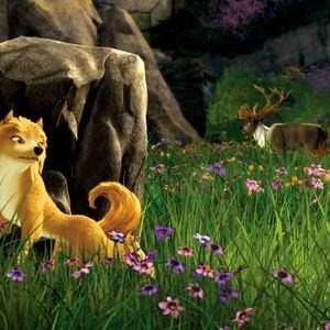 Foto Alpha and Omega