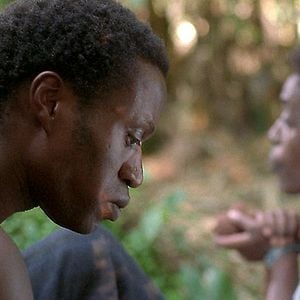 Foto Philippe Van Leeuw