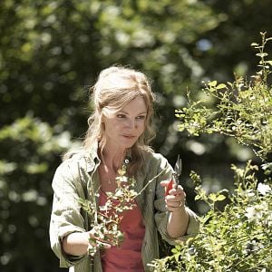 Foto Siempre a tu lado. Hachiko