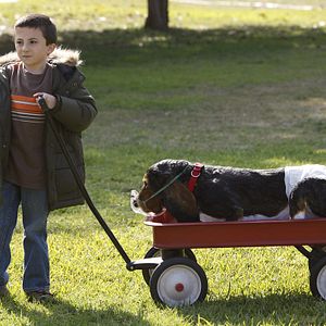 Foto Atticus Shaffer