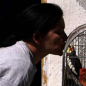 Foto Denis Gheerbrant