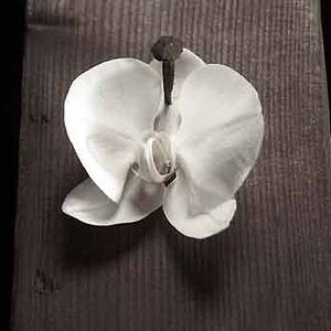 Foto Cheyenne Carron