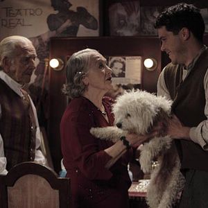 Foto Pájaros de papel