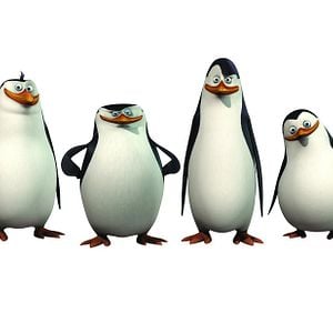 Foto Los pingüinos de Madagascar