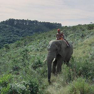 Foto Viaje mágico a África