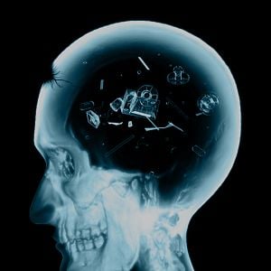 Foto Grégory Damour