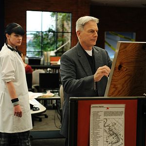 Foto Pauley Perrette