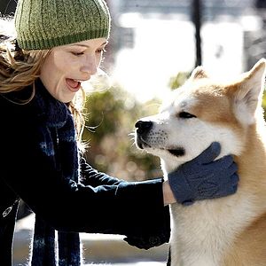 Foto Siempre a tu lado. Hachiko