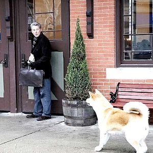 Foto Siempre a tu lado. Hachiko