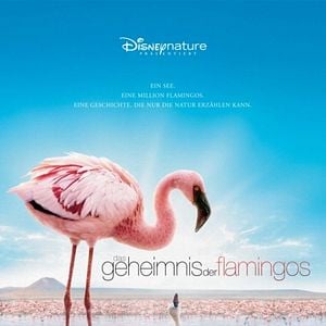 Foto Disneynature. Crimson Wing