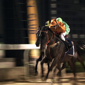 Foto Charles de Meaux